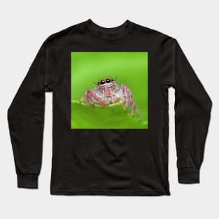 Jumping Spider Long Sleeve T-Shirt